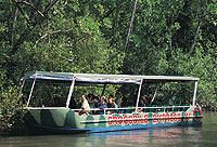 Cape Tribulation.crocodile.Cruise