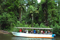 daintree-river-cruise