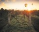 Ballooning.hunter.valley.wine.tours