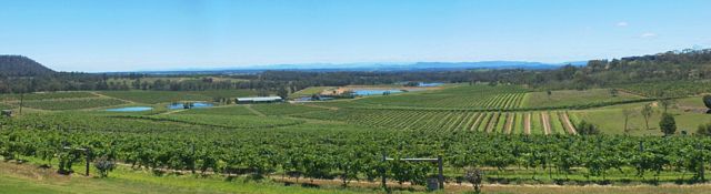 Hunter Valley Panorama