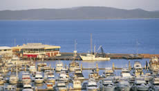 port.stephens.dolphin.tour