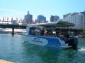 sydney.harbour.cruise